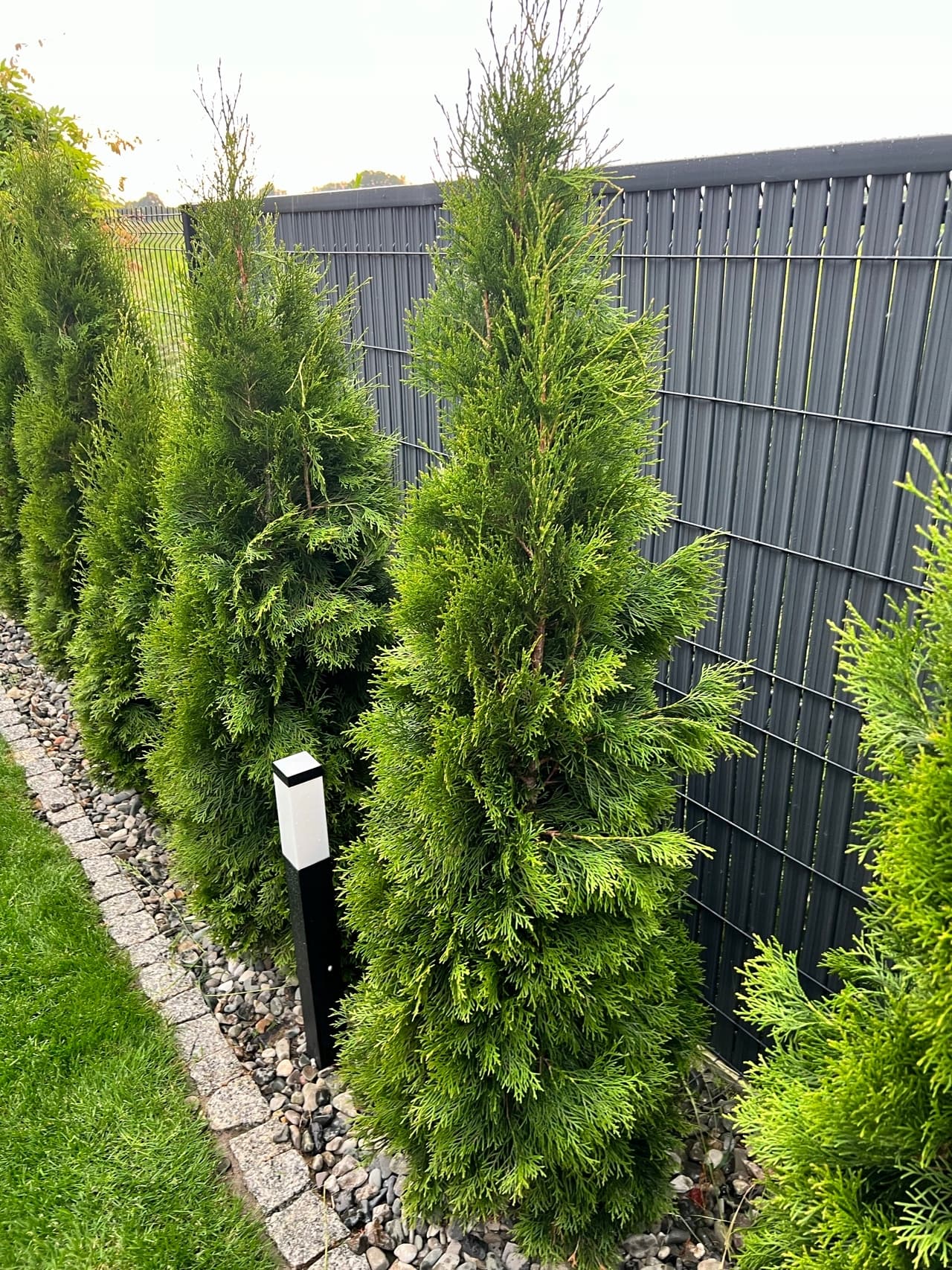 Realizacja ogrodzenia - Antracyt